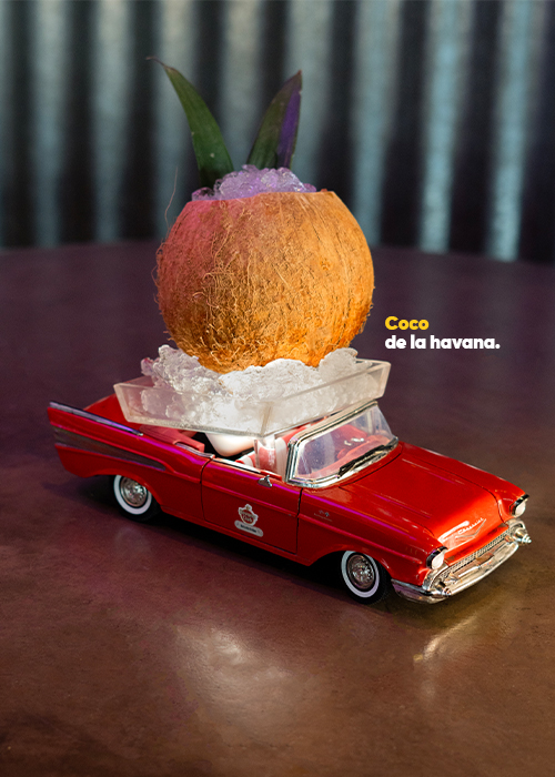 Coco de la Havana